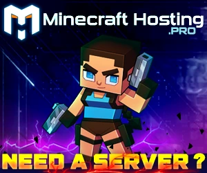 need_a_server