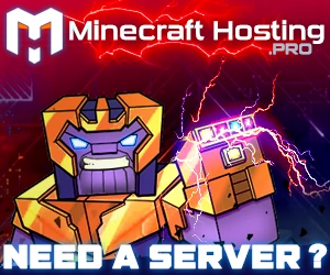 need_a_minecraft_server